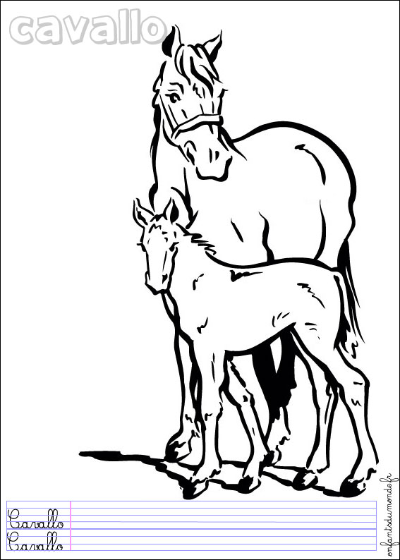 coloriage cheval 3